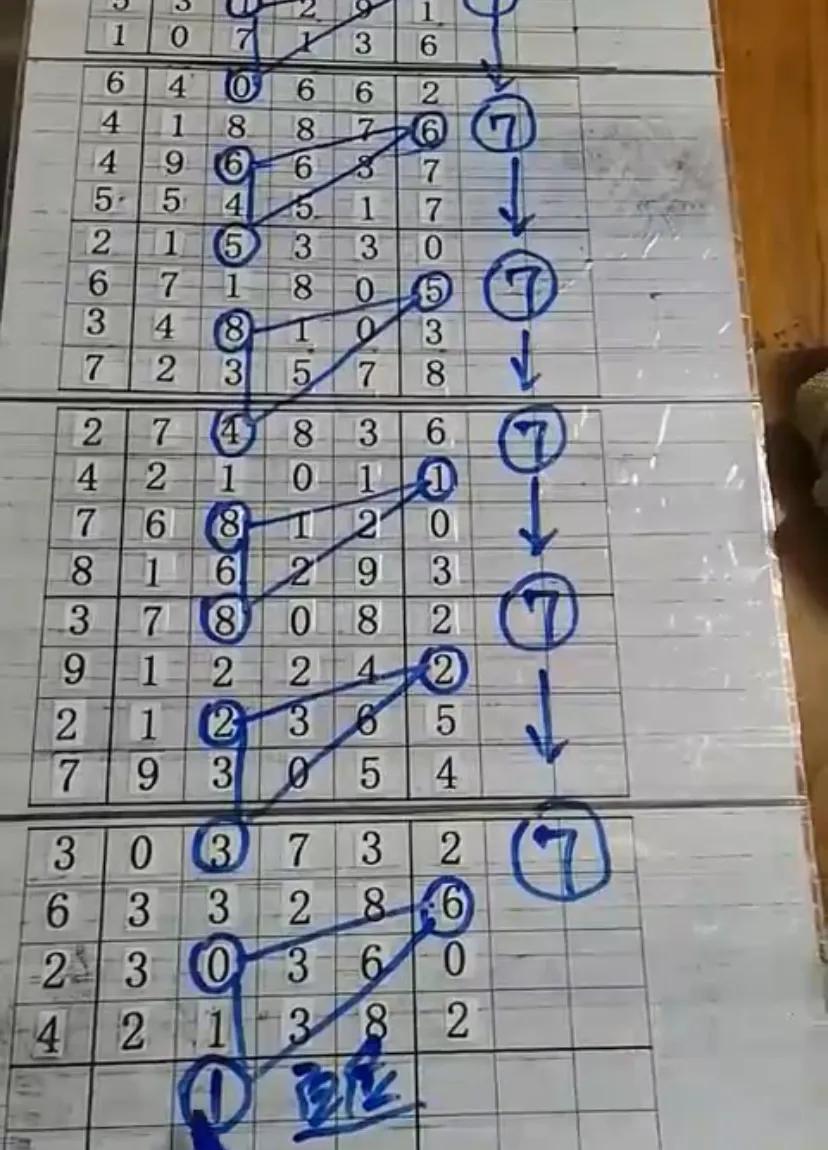 今晚体彩31选7，揭秘走势图与开奖结果的奥秘