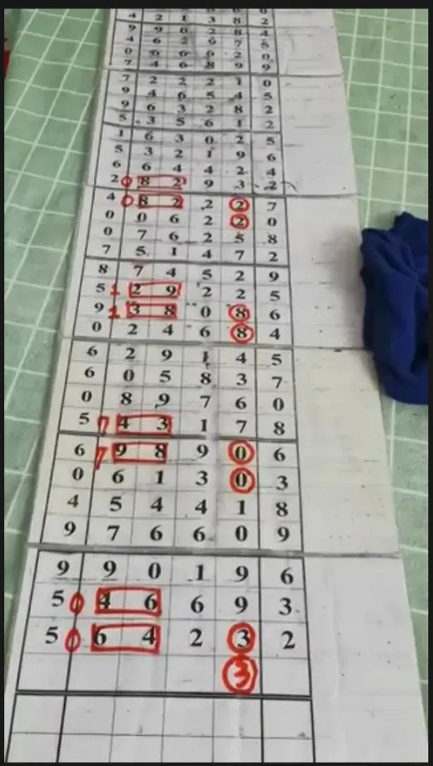探索体彩31选7走势图附加，揭秘数字背后的奥秘