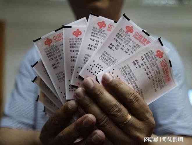 彩票倍投工具，理性与机遇的智慧之选