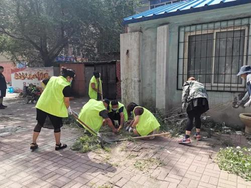 锦州今日突发，一场温暖人心的社区志愿服务活动