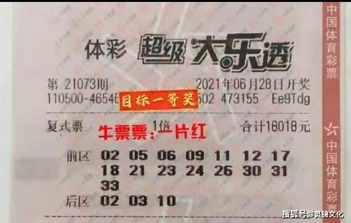 探索双色球，从基本走势图到开奖结果的奥秘