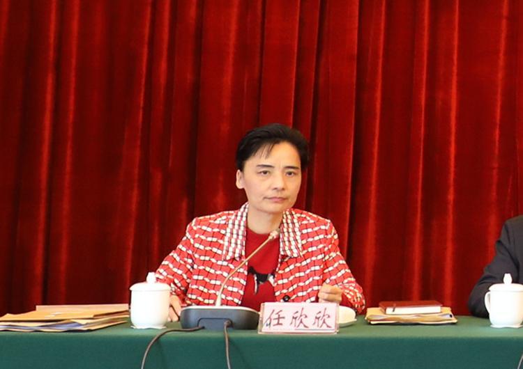 数据统计app，现代生活与商业决策的智慧之眼