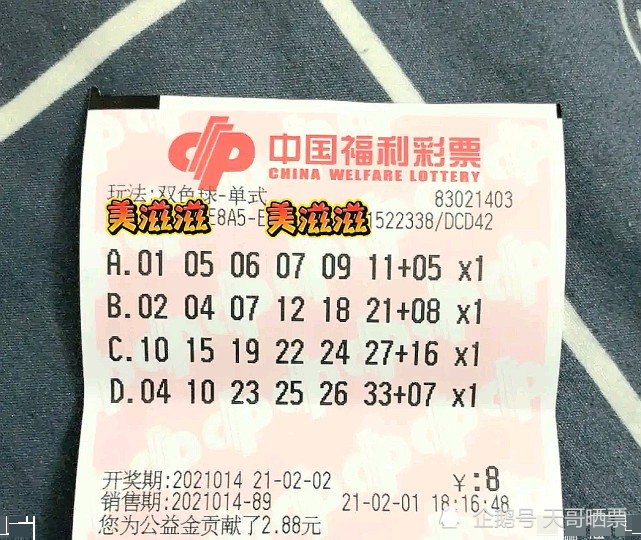 2006年双色球2006052期开奖结果，幸运的数字与生活的奇迹