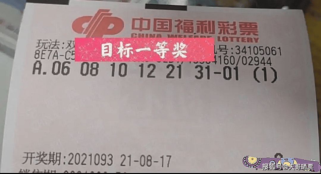 双色球23140期，晒票盛宴，揭秘彩民热情与期待