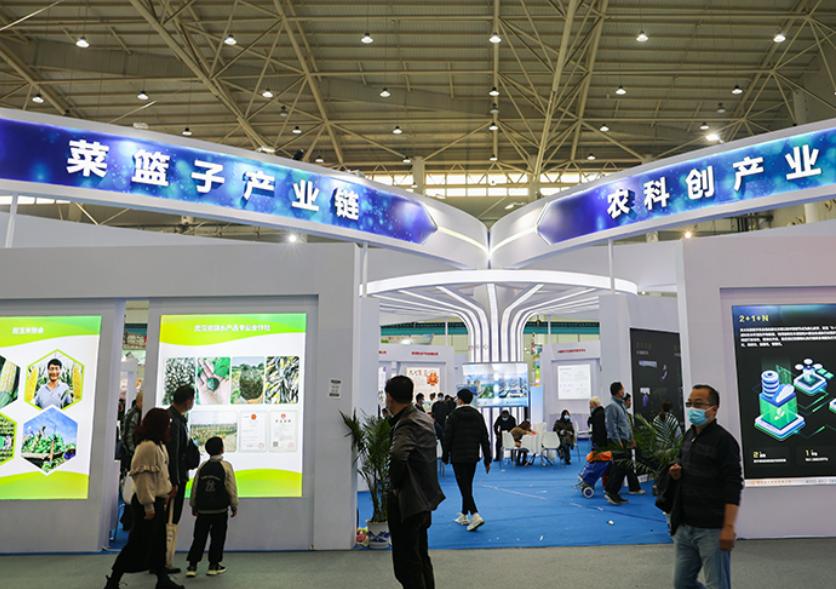 湖北快三，揭秘一定牛走势及走势图解析