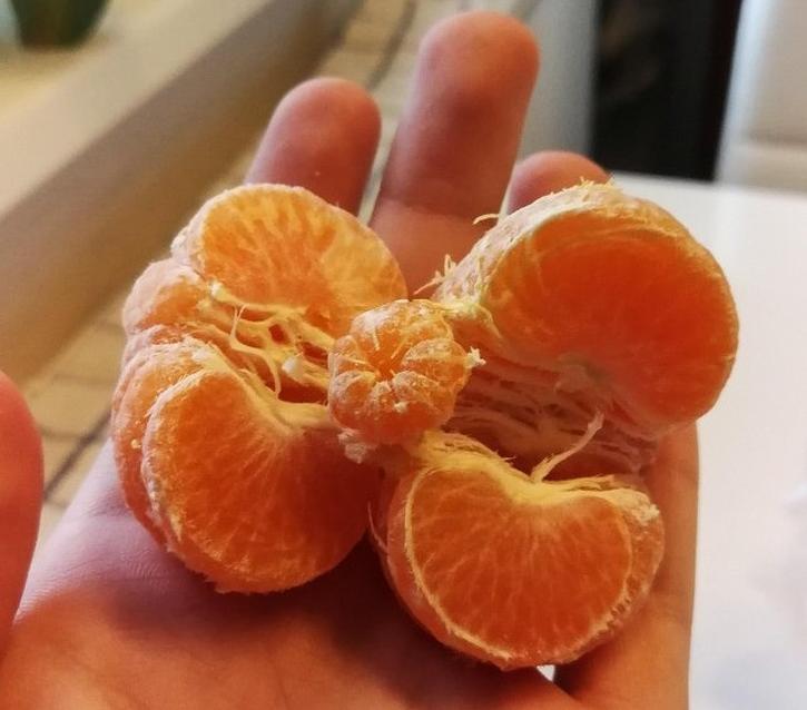 体育彩票的多样玩法，解锁运动与幸运的双重乐趣