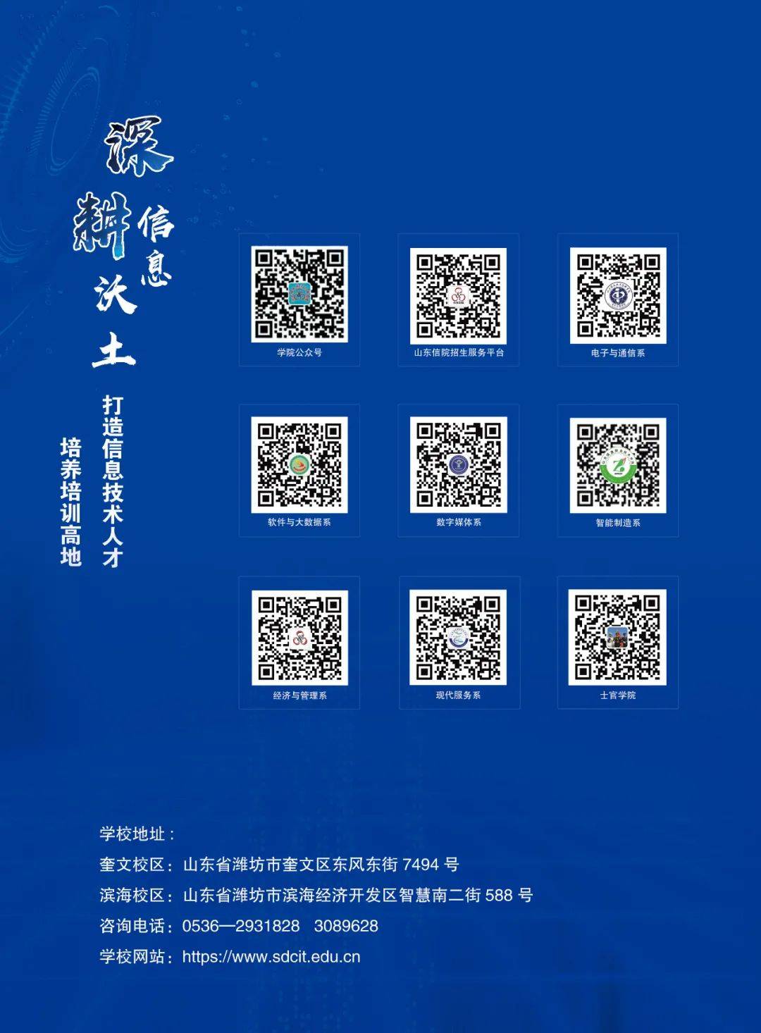 探索体育激情，Bob综合体育APP下载指南