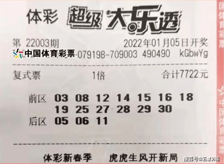 探索大乐透走势图后区的奥秘，理性与直觉的交响曲