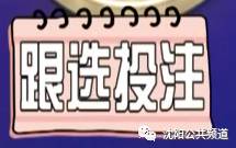 双色球机选