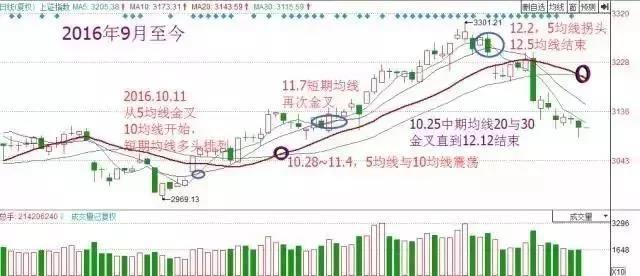 今日排5走势图，解码数字背后的奥秘