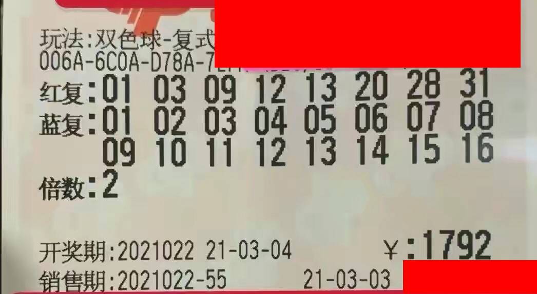 2006019期双色球开奖结果，梦想与奇迹的碰撞