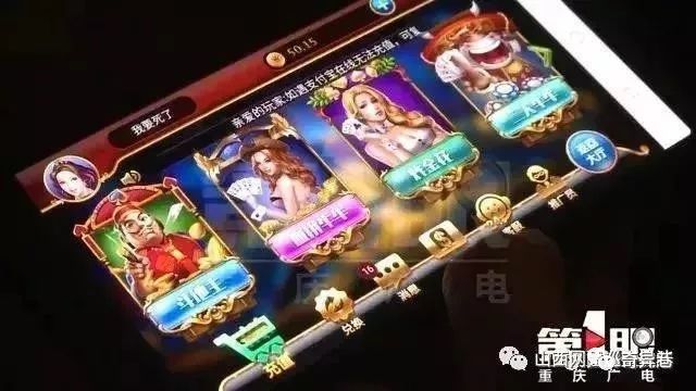 赌码，一场数字与欲望的交织游戏赌码犯法吗