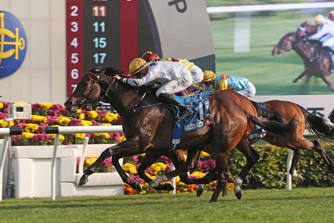 澳门赛马，历史、文化与现代魅力澳门赛马会每天都有吗