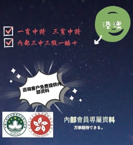 今期香港开奖结果记录，透视彩票文化与公众生活的微妙交织今期香港开奖结果记录2024 2月29