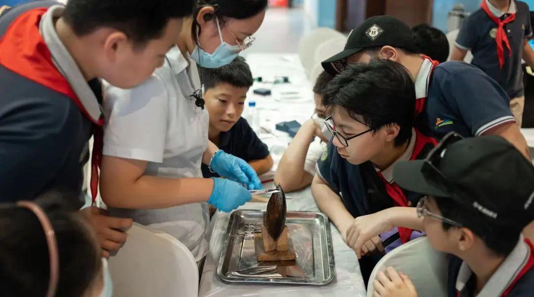 探索黄大仙，精准资料免费大全的奥秘黄大仙精准资料免费大全功能介绍