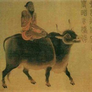 房产研究院 第127页