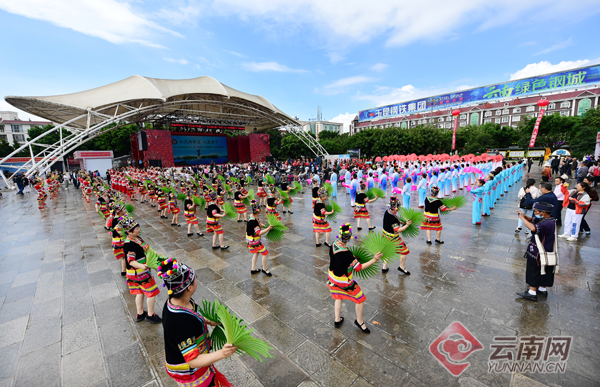 探索本港台开奖现场直播的奥秘，揭秘与记录本港台开奖直播 开奖结果台