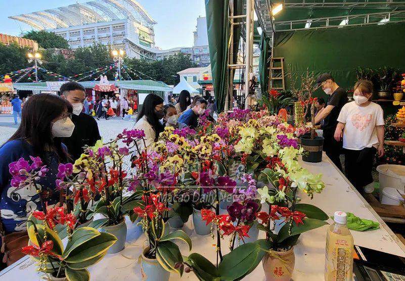 2035年，澳门开码新纪元—探索未来与传统的融合2023今晚澳门开码结果查询