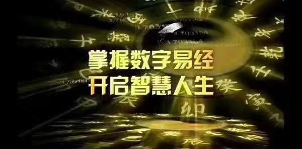 探索数字背后的奥秘，揭秘12306的神秘号码—解析与思考118186开奖现场开奖42923直播42923开奖