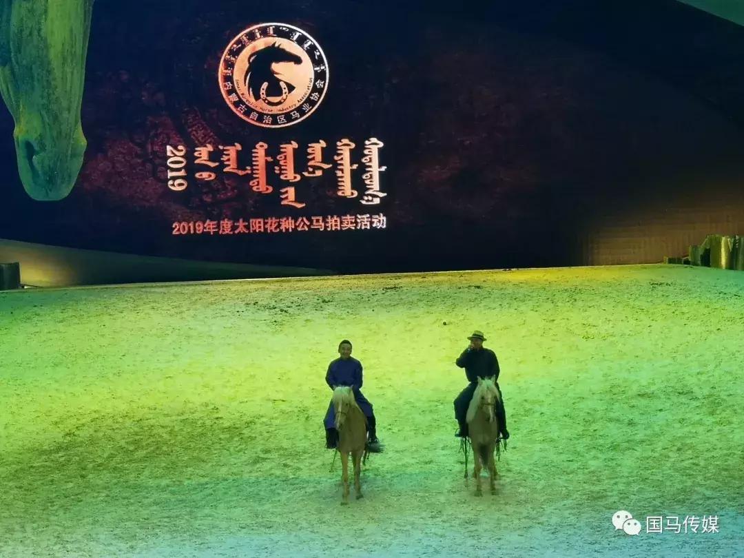 2019年马会正版，一场科技与传统的完美融合2019年马会正版全年免费资科