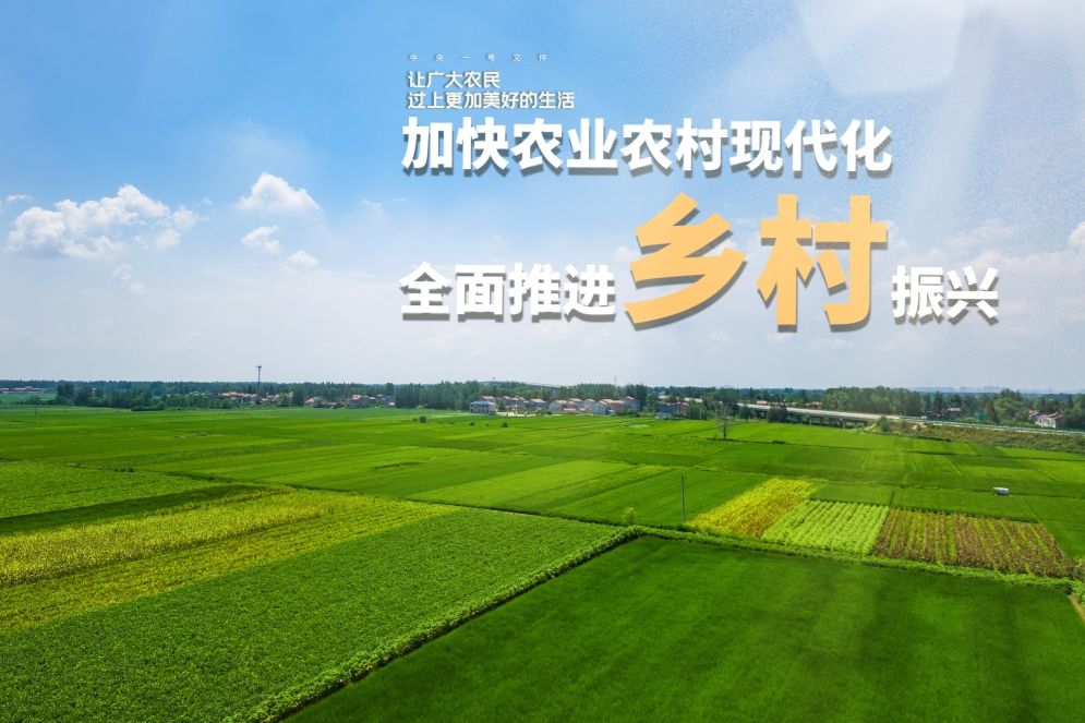 河北12530，数字时代的乡村振兴新引擎河北12530官网