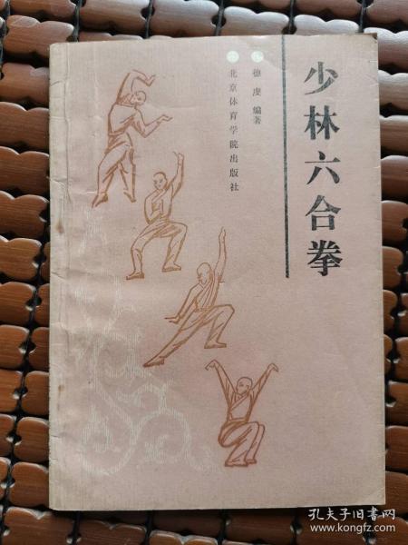 探索传统与现代交融的武术瑰宝—六合拳彩