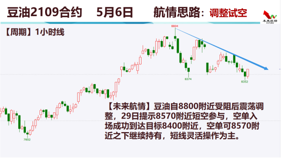 澳门2049，未来展望与资料大全澳门资料大全正版资料查询20