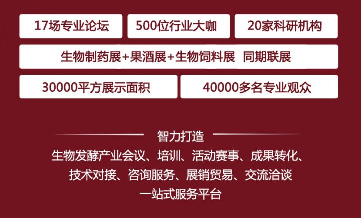 探索知识无界，比思论坛—一个值得铭记的永久域名比思论坛如何充值会员