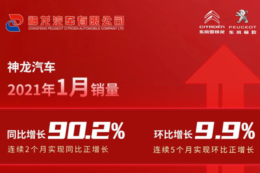 澳门2043年正版资料免费公开，诚信与透明的未来展望澳门2024正版资料免费公开大三巴网址