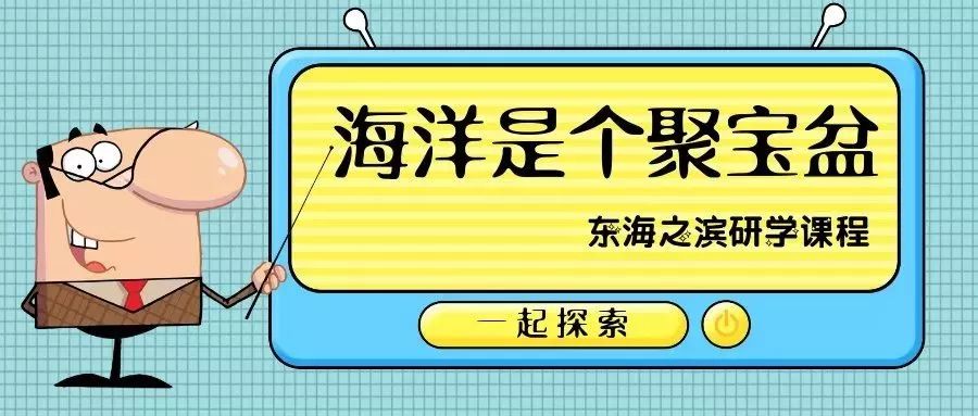全年资料免费大全6749，解锁知识海洋的钥匙全年资料免费大全2023