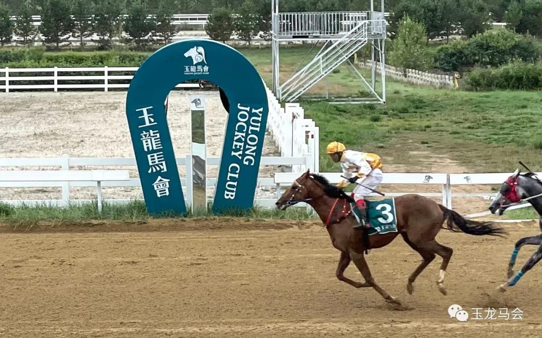 2019正版马会资料大全，揭秘赛场背后的智慧与策略2021马会资料精选免费大全