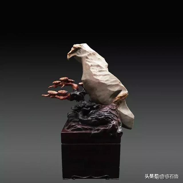 探索视觉盛宴，图库天下的无限魅力图行天下图库