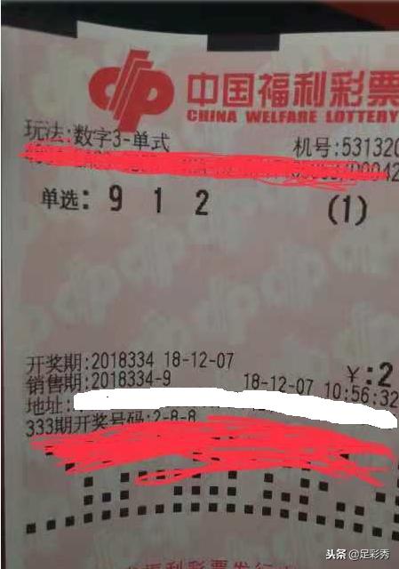 今晚开奖，揭秘彩票背后的神秘与期待今晚开码结果开奖号码查询
