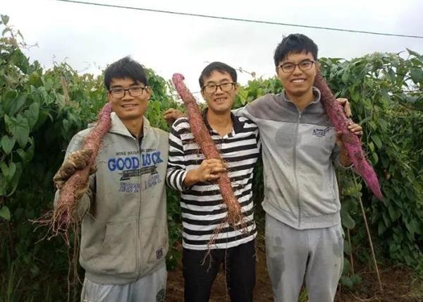 致富网629，解锁财富之门的在线平台农业致富网