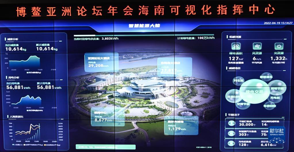 探索天牛3D图库与红五图的奇妙世界，一场视觉盛宴的汇总解析天牛3d图库红五图库汇总160期