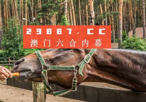 2038年澳门马会传真，科技与传统的完美融合2023年澳门马会传真精准资料