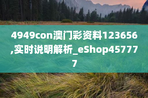 2046年新奥正版资料免费大全，知识共享的未来展望2025年正版资料免费大全视频