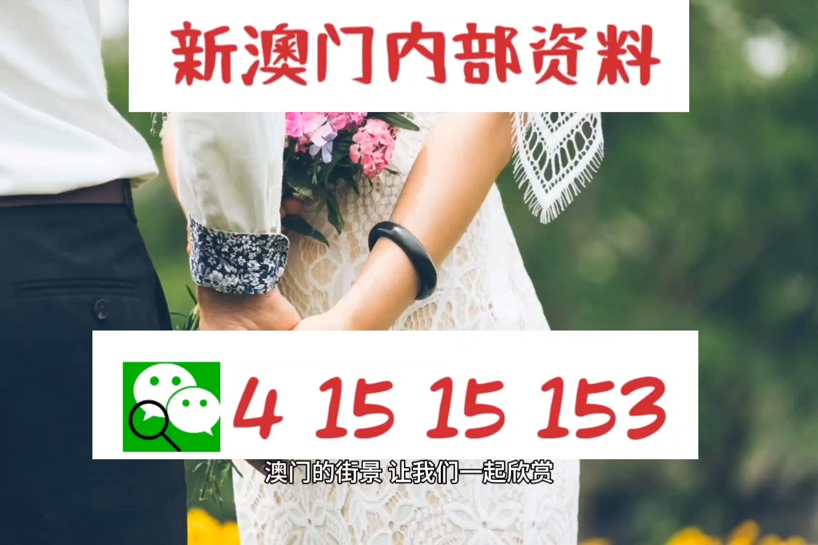揭秘香港今晚六合彩开奖，一场数字与梦想的盛宴香港今晚六会彩开奖号码结果开奖结果