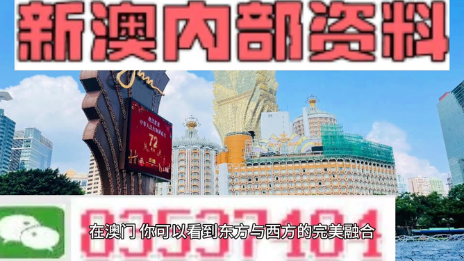 精准预测未来，新澳204年期待的深度解析2020年澳门新版资料