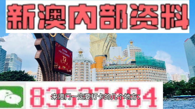 2049，新澳门精准资料免费共享的未来展望2021澳门最新资料