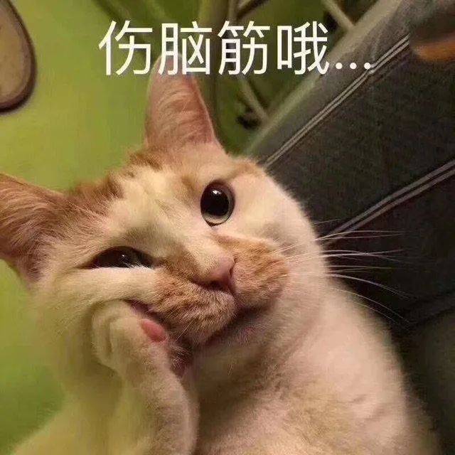 今天晚上必中一肖动物是哪个