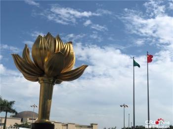 澳门彩，揭秘49选6的奇妙世界澳门49彩官方网站百度