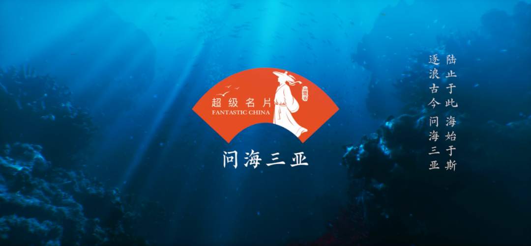 探索知识海洋，正版免费资料大全943的魅力与价值正版免费资料大全下载