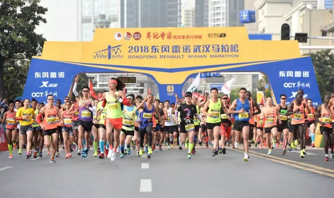 2019年香港马现场开奖结果，一场精彩绝伦的赛场盛宴香港马今开奖结果