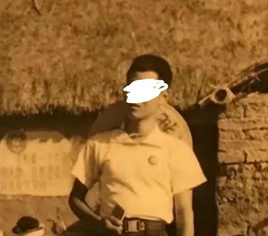 揭秘四肖选一中的特与策略—精准预测的奥秘四肖选一肖中特特肖有几组