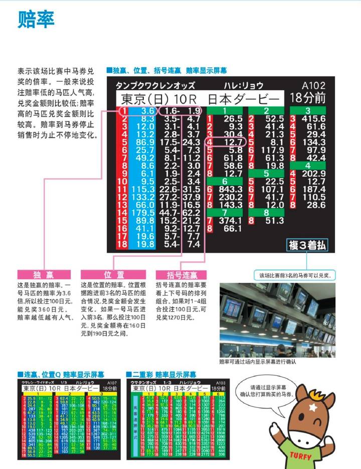 今晚一肖中特，揭秘生肖彩票的奥秘与策略一肖中特今晚期期准