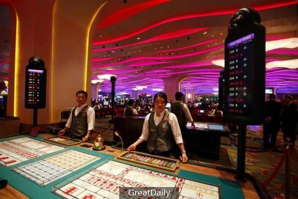澳门彩资料查询，揭秘彩票背后的数字与策略澳门彩资料查询2024