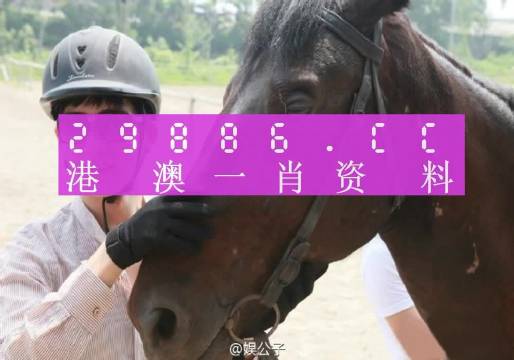 幸运之选