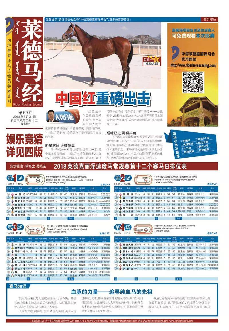 揭秘最准网站特马资料，如何精准获取彩票信息最准网站特马资料2019