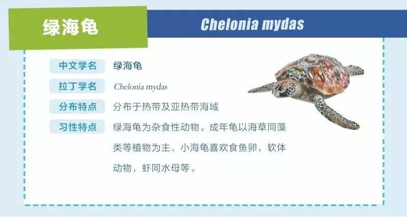 探索知识海洋，正版资料免费获取的无限可能正版资料免费资料大全十点半网站